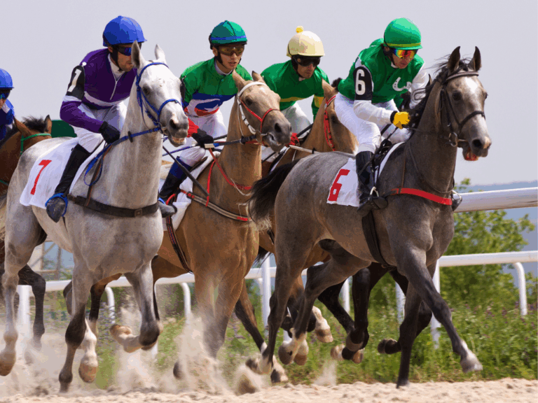 Agence de Saint-Lô – Constructeur de maison – Saint-Lô