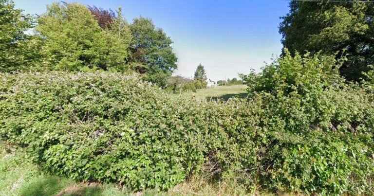 Terrains constructibles Saint-André-D'hébertot