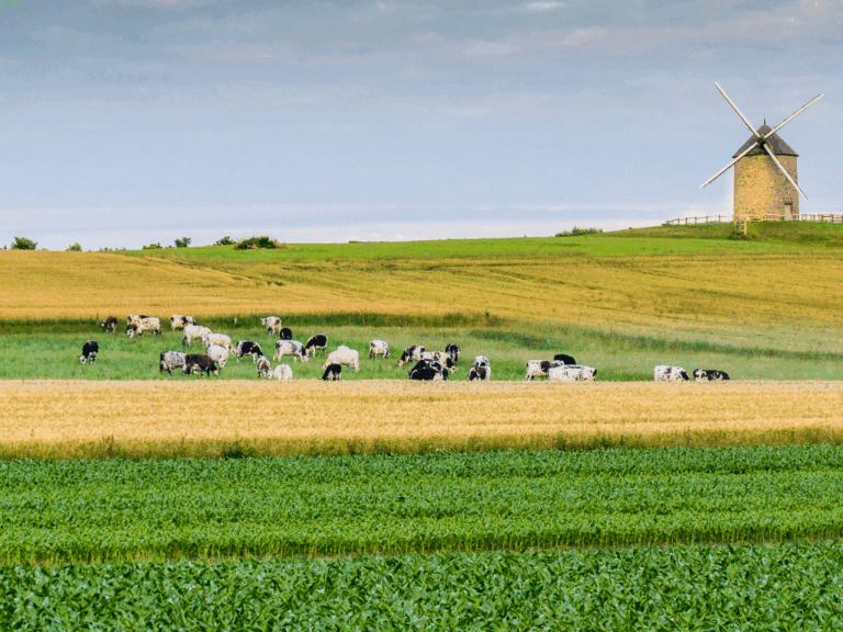 Maisons Bessin en Normandie