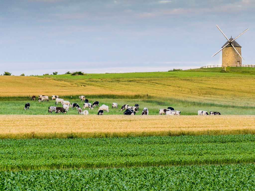 Maisons Bessin en Normandie