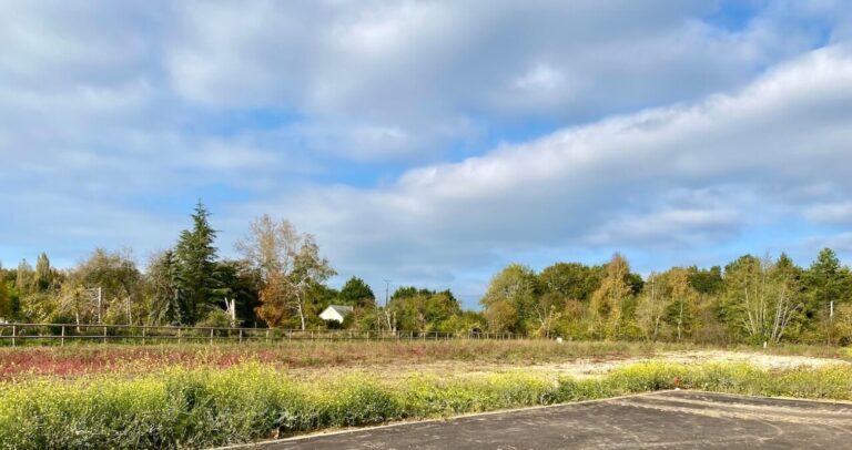 Terrains constructibles Grangues